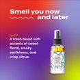thumbnail image 3 of Spray para habitación y cuerpo Indigo Wild Zum Mist, sal marina, 120 ml, paquete de 2, 3 of 7