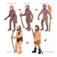 thumbnail image 2 of Modelos humanos de simulación Figuras primitivas Ciclo de crecimiento Juguetes educativos humanos para niños, 2 of 8
