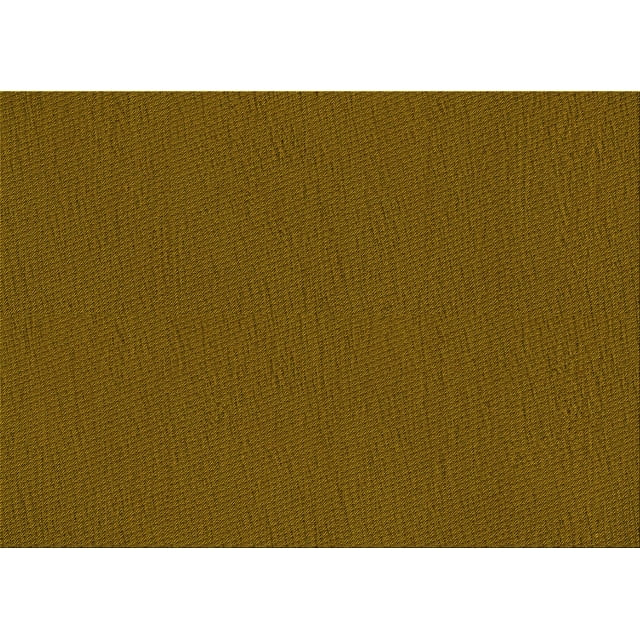 Ahgly Company Machine Washable Indoor Rectangle Transitional Dark Bronze Brown Area Rugs, 2' x 4'