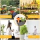 thumbnail image 3 of Kit de riego por goteo, riego por goteo, riego automático de plantas, sistema de riego de plantas de jardín, para jardín interior y exterior, 6 piezas, 3 of 3