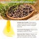 thumbnail image 3 of Aceite De Cyperus Rotundus Para La Depilación, Aceite De Cyperus Rotundus Para Reducir El Crecimiento Del Vello Corporal, Hidratante Y Calmante Para La Piel. Paquete De 2 Unidades De 60 Ml(2 On, 3 of 9