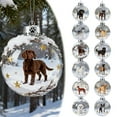 thumbnail image 4 of 12 Styles Dog Christmas Ornaments Set, 2D Acrylic Shatterproof Dog Theme Decor for Christmas Tree & Dog Lovers (H), 4 of 4