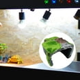 thumbnail image 5 of Reptile Hide Cave Habitat Terrarium Landscape Decoration B, 5 of 8