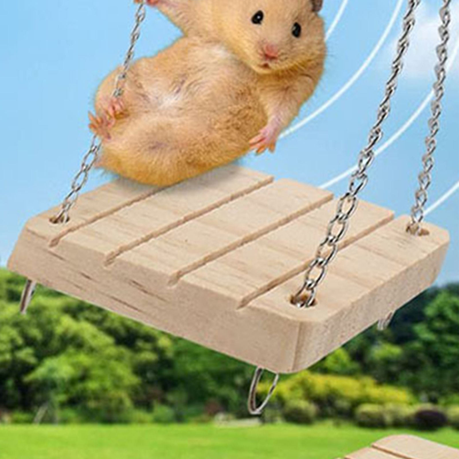 DOPI 12Pcs/Set Hamster Toys Multiple Types Teeth Grinding Natural Wood Small Animal Play Chew Toys Pet Toys