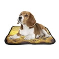 thumbnail image 2 of PKQWTM Vintage Sunflowers Artworks Pet Dog Cat Bed Pee Pads Mat Cushion Potty Dogsblankets Crate Bed Kennel 20x24 inch, 2 of 3