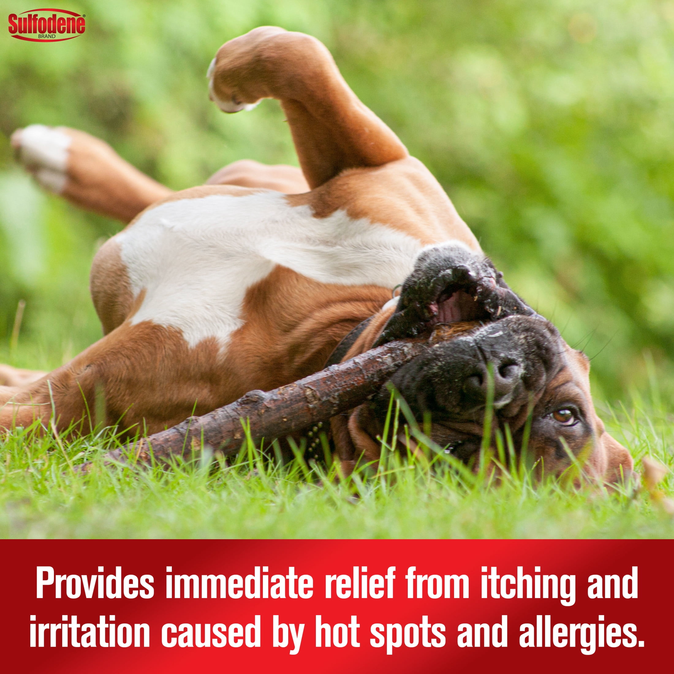 Sulfodene Hot Spot & Itch Relief Medicated Spray for Dog 8 Fluid Ounce