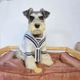 thumbnail image 2 of Suéter estilo universitario lindo para mascotas de otoño e invierno, abrigo de oso rubí nevado para gatos y perros, ropa para cachorros, ropa para perros pequeños, 2 of 5
