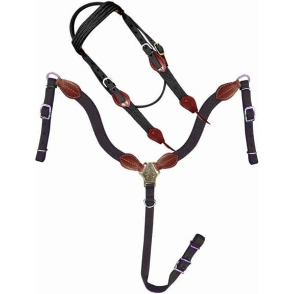 Showman Nylon Browband Headstall & Breast Collar Set w/Leather Accents (Black)