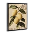 thumbnail image 3 of Stupell Industries Lemon Harvest On Vine Food & Beverage Painting Black Floater Framed Canvas Art Print Wall Art, 17 x 21, 3 of 9