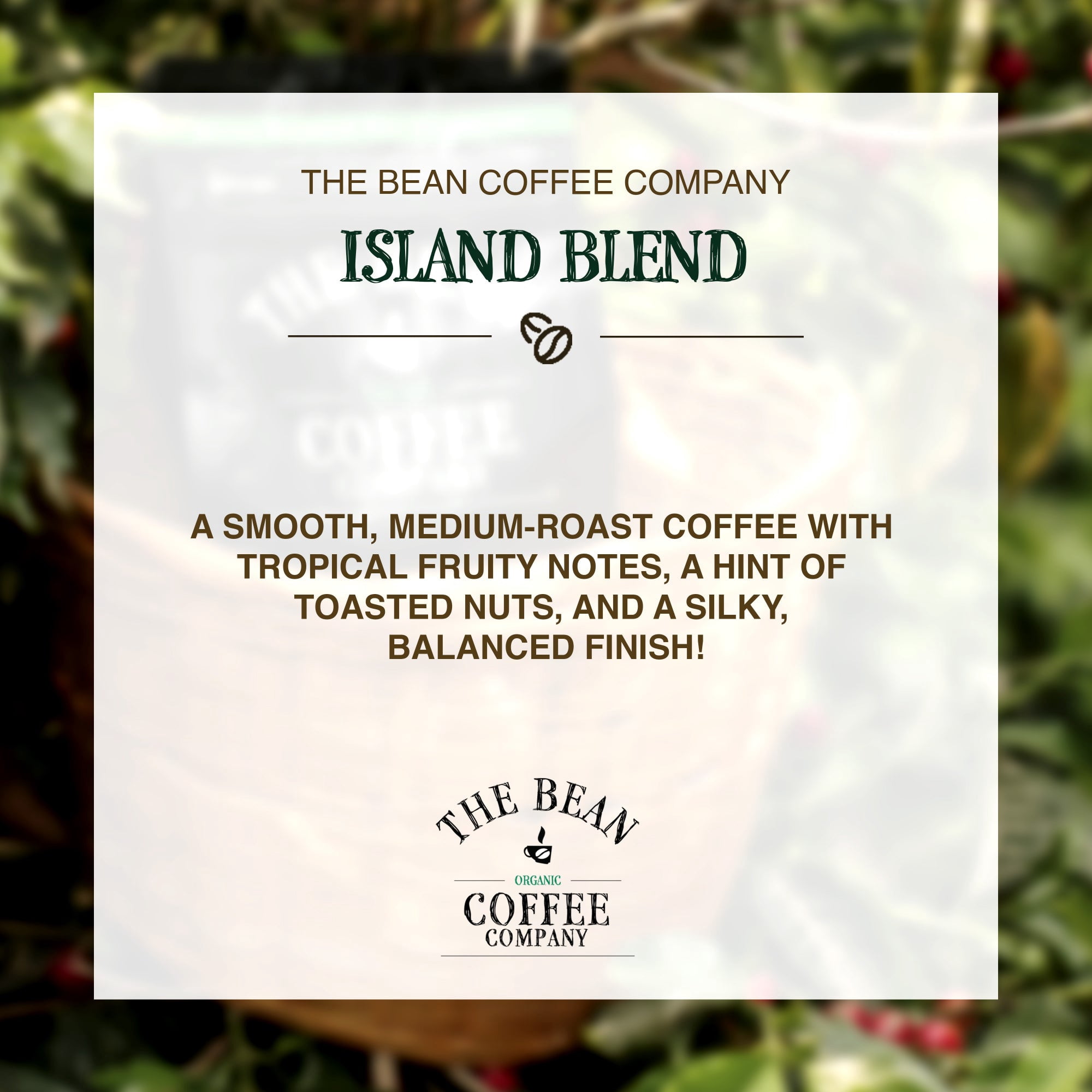 The Bean Organic Coffee Company Island Blend, Medium Roast, Ground Coffee, 16-Ounce Bags (Pack of 2)