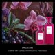 thumbnail image 2 of Bruma de fragancia Fine'ry Fruity Floral Elegant Madame 150 mL, 2 of 5