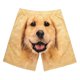 thumbnail image 2 of Pantalones cortos de verano Yuyangstore Bañadores cortos estampados causales para hombres L, 2 of 8