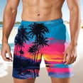thumbnail image 2 of Telankuip Mens Hawaiian Style Beach Shorts Comfortable Lightweight Outdoor Athletic Walking Shorts for Daily Wear 2026 Summer Holiday Casual Five Point Pants 3-Blue M, 2 of 4