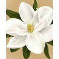 thumbnail image 2 of Popp, Grace 20x24 White Modern Wood Framed Museum Art Print Titled - Magnolia on Gold I, 2 of 4