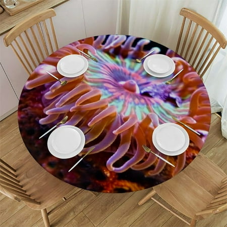 

Patifu Sea Anemone Coral Reef Sea Life Round Tablecloth Stain Resistant Indoor Outdoor Kitchen Dining Wedding Parties 100% Polyester Outdoor Picnic Camping Washable Home Kitchen Decoration 31 -35