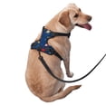 thumbnail image 2 of Balery Space Arnés para Perros Grandes Antitirones, Arnés con Correa para Gato, Arnés Tipo Chaleco para Perros Pequeños-Large, 2 of 6
