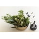 thumbnail image 4 of Loción Corporal Bondi Wash Sydney Menta y Romero 250 ml, 4 of 5