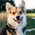 thumbnail image 3 of Pet Dog Lighting Collar Blue Pet Dog LED Collar, Dog Lighting Collar, Adjustable For Dogs Pets L, 3 of 8