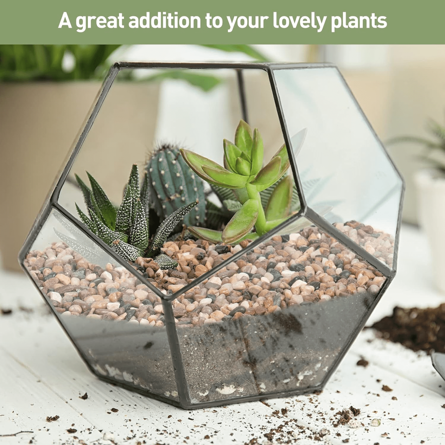 Natural Pebbles Sand for Plants, Succulent, Aquarium, Fish Tank - Gardening and Outdoor Decor, 5lbs, 1/5 Inch