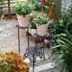 thumbnail image 5 of Estante plegable for plantas de metal de 3 niveles, soporte for macetas vintage de 24 pulgadas de alto, soporte for plantas con gradas for interiores y exteriores, 5 of 6