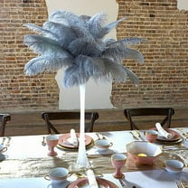 ZUCKER 24pcs 13-16" Ostrich Feather Centerpiece Set - 24" Eiffel Tower Vase Wedding Decorations White and Silver (Gray)
