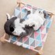 thumbnail image 2 of Cama portátil elevada para mascotas para gato, perro, verano, transpirable, desmontable, gato, gatito, cachorro, nido, hamaca, lona duradera, soporte de madera de pino, uso interior o exterior, 21 x, 2 of 6