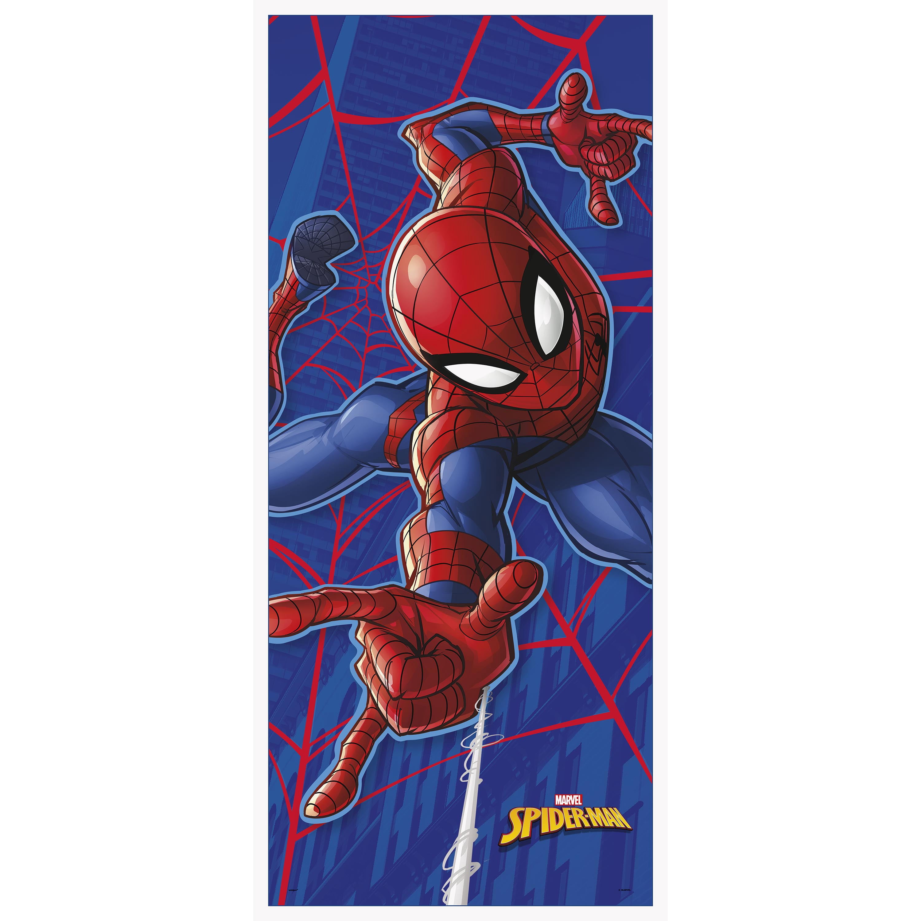 Plastic Spiderman Birthday Door Poster, 5ft x 2.25ft
