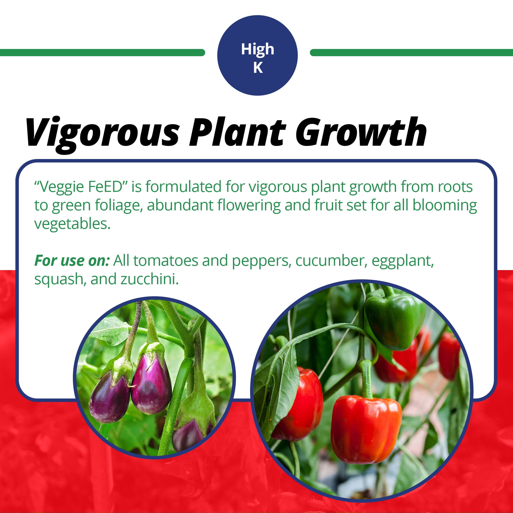Jack's Classic 12-15-30 Veggie FeED Water-Soluble Fertilizer with Micronutrients, 4lbs - Plant Growth and Abundant Fruit Set in Blooming Vegetable Plants