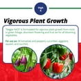 thumbnail image 5 of Jack's Classic 12-15-30 Tomato FeED Water-Soluble Fertilizer with Micronutrients for Plant Growth and Abundant Fruit Set in Blooming Vegetable Plants, 1.5lbs, 5 of 7