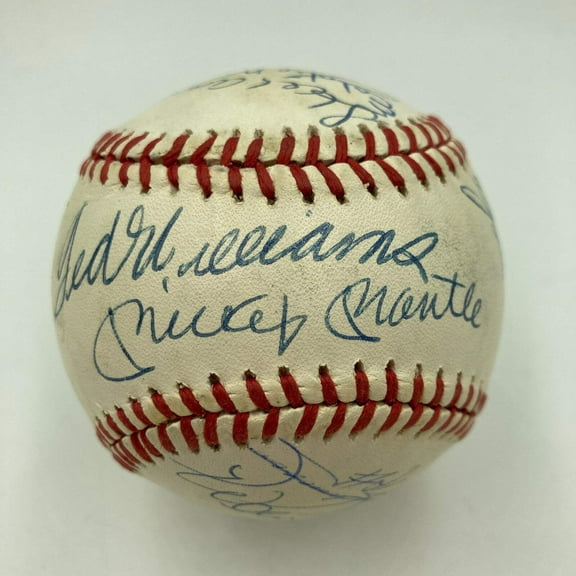 500 Home Run Signed Baseball With 18 Sigs! Mickey Mantle Ted Williams PSA DNA