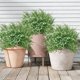 thumbnail image 4 of Artificial Purple Lavenders Ground Plug Patio Decor Spring Summer Outdoor Home Artificial Flower, 4 of 6