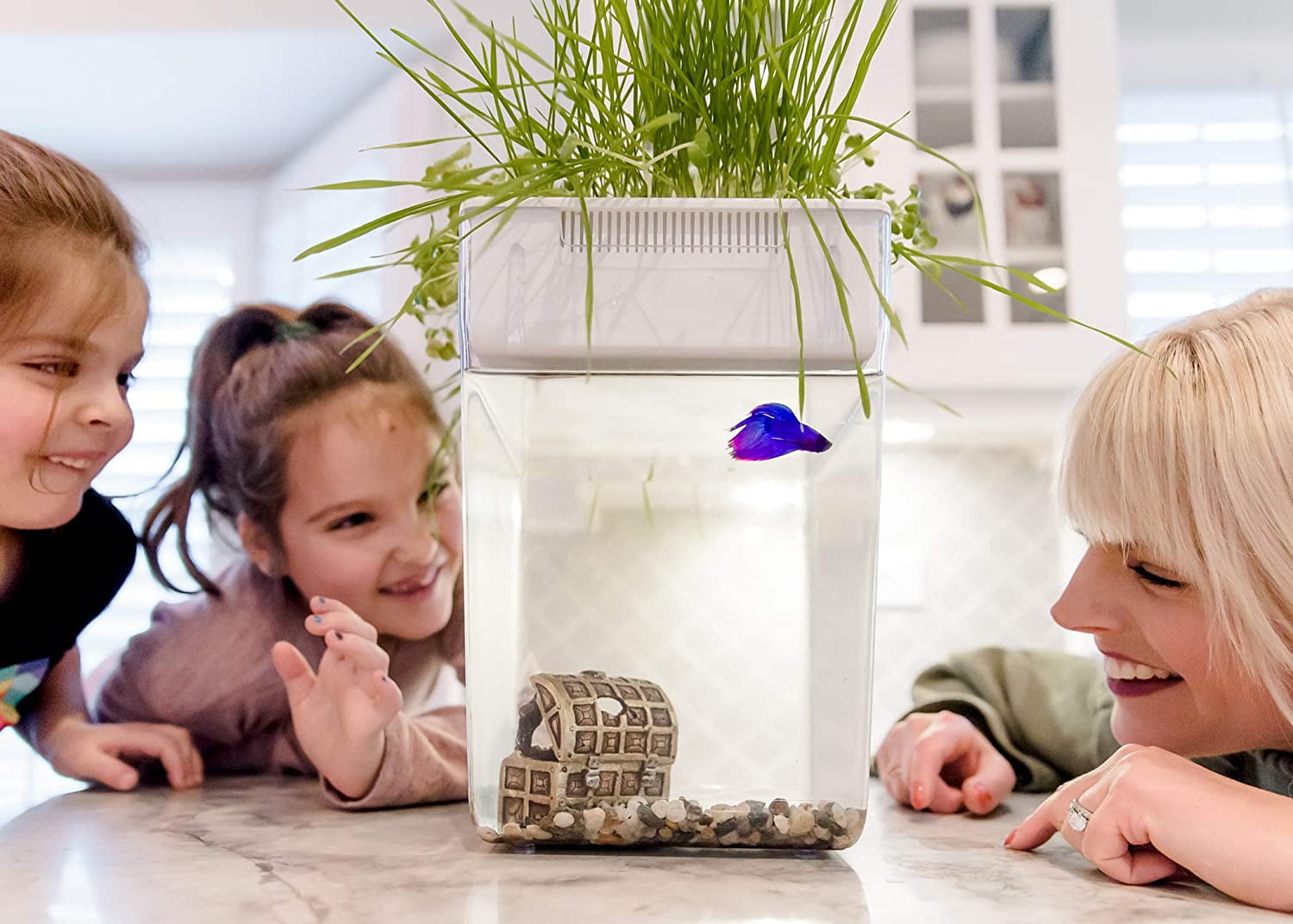 Back to the Roots 3 Gal. Self-Cleaning Aquaponic Water Garden Fish Tank Aquarium