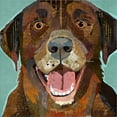 thumbnail image 2 of Great Art Now Chocolate Lab by Traci Anderson, Framed Wall Art, 13.25W x 13.25H, 2 of 3