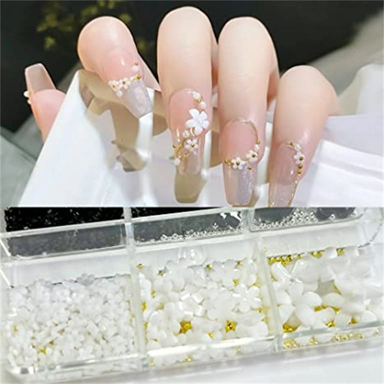 Dicasser 2 Boxes 3D Flower Nail Charms Acrylic Resin Flower Gems