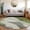 Fern, variant on Dalyn Rugs Machine Washable Indoor/Outdoor Chantille Sage 8' x 8' Round Rug