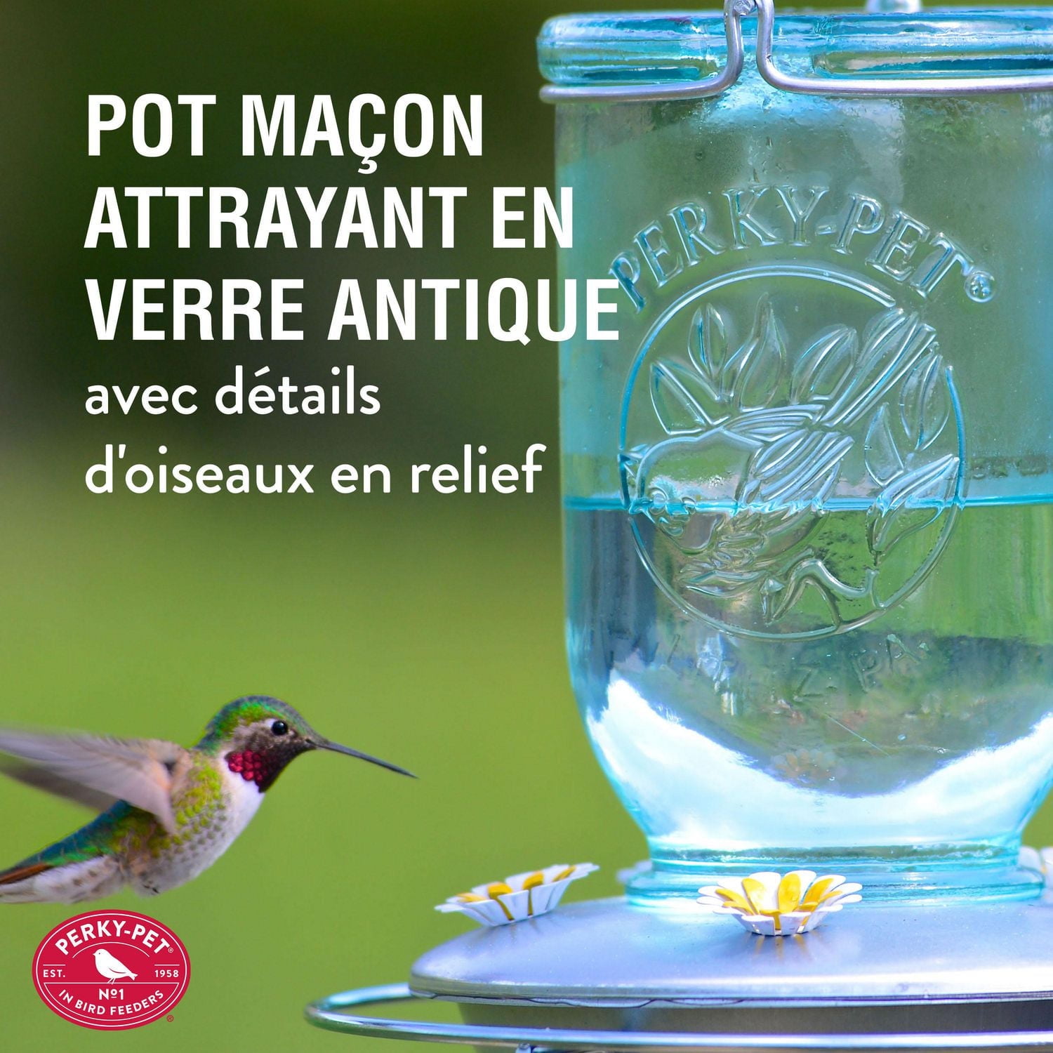 Perky-Pet 32 oz Mason Jar Hummingbird Feeder