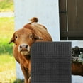 Horse Stall Mat Farm Cow Scratch Mat Scratch Mat For Cattle Cow Itch