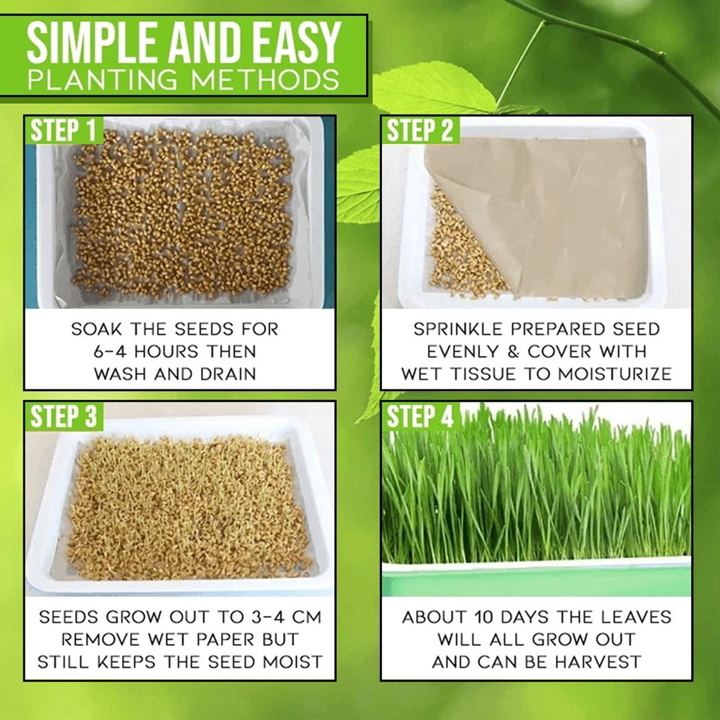 Wuweikeji Hydroponic Microgreens Starter Kit: 2-Layer Plastic Tray (13 x 10.2 x 2 inches) with 10 Paper Sheets - Indoor Sprouting System for Beginners and Advanced Gardeners