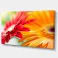thumbnail image 2 of Red and Yellow Daisy Flower - Floral Canvas Art Print, 2 of 4