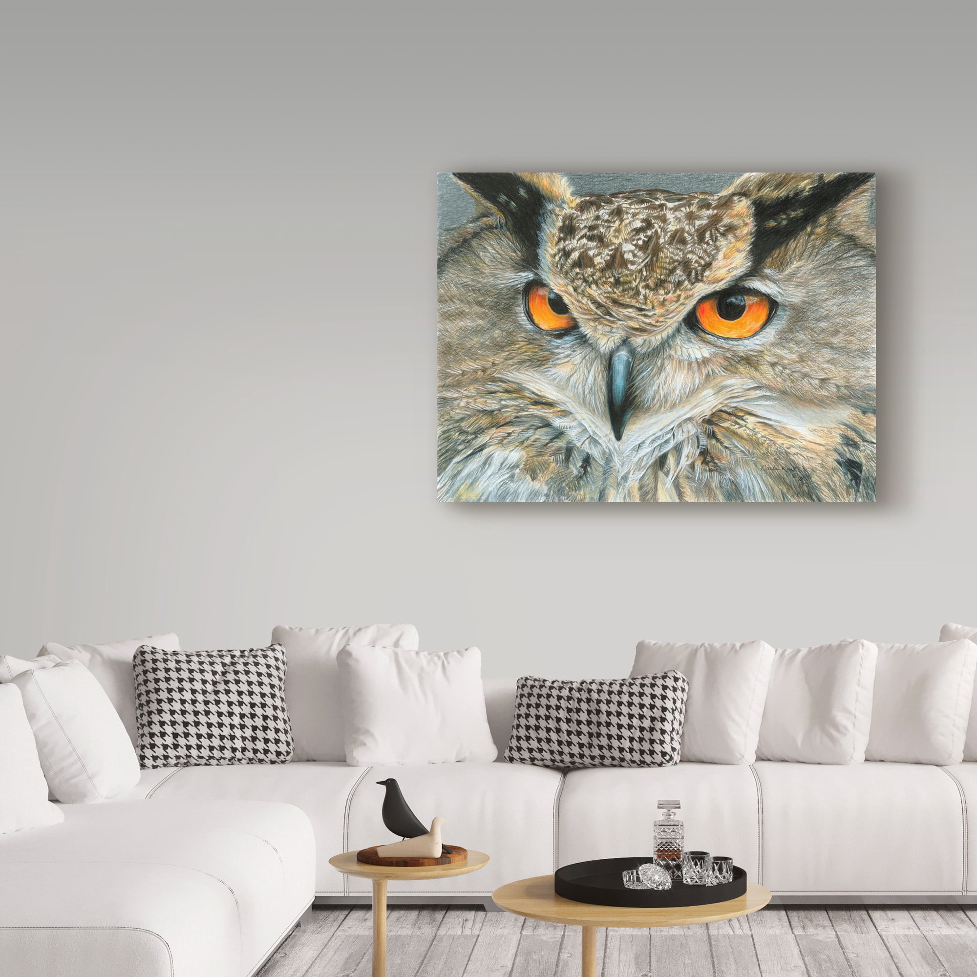 Trademark Fine Art 'Orange Eyed Owl' Canvas Art by Carla Kurt
