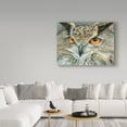 thumbnail image 3 of Trademark Fine Art 'Orange Eyed Owl' Canvas Art by Carla Kurt, 3 of 3
