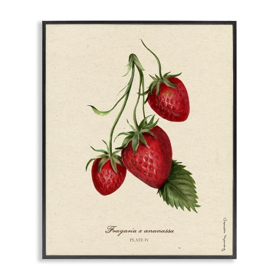 Stupell Industries Strawberry Fruit Portrait Black Framed Giclee Art, design by Danielle Murray