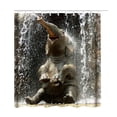 thumbnail image 1 of Cortina de ducha estampada Cortina de baño impermeable Cortina de baño de poliéster Tipo 1 180x180cm Scienceny HA6769-01B, 1 of 6