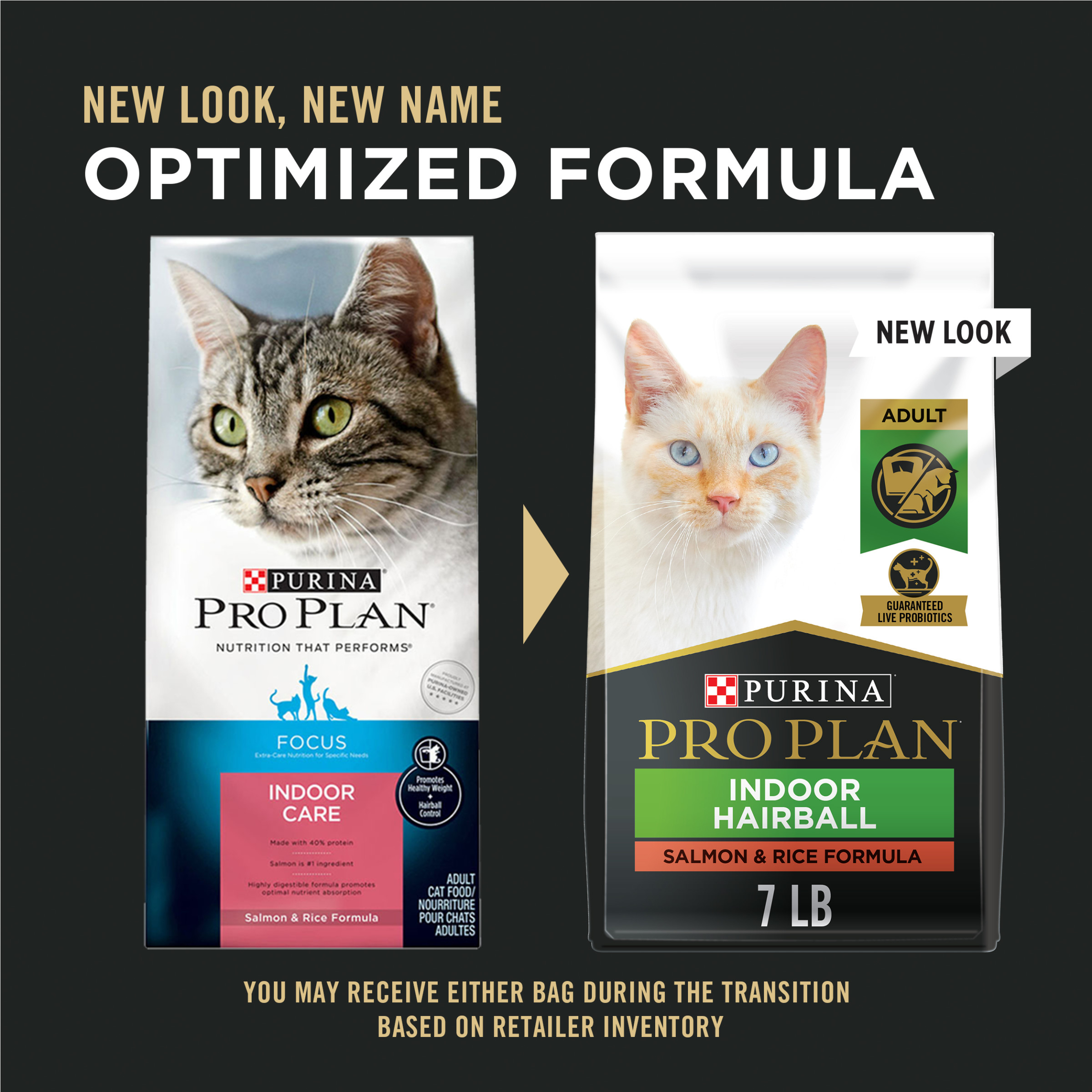 authority cat food weight management