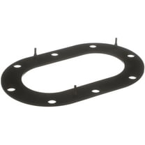 Delphi Fuel Pump Tank Seal
