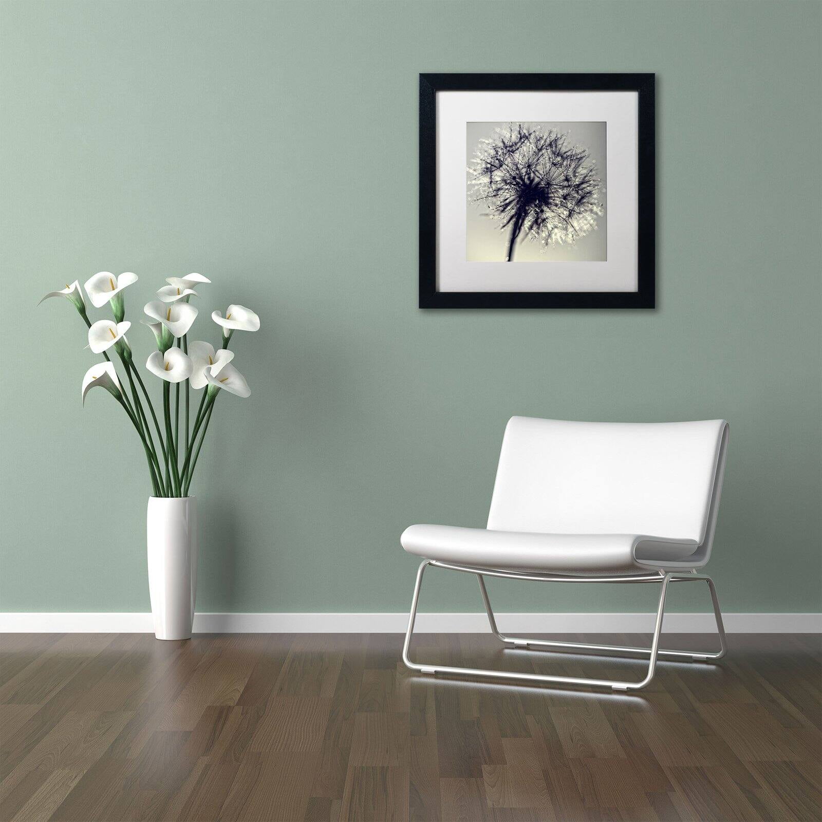 Trademark Fine Art "Morning Sparkles" Canvas Art by Beata Czyzowska Young, Black Matte, Black Frame