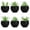 Black, variant on Set of 6 Succulents Plants Artificial in Pots Small Fake Plants for Halloween Decorations Bedroom Living Room Office Shelf Black Bathroom Decor