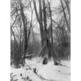 thumbnail image 2 of Curtis, Edward 19x24 White Modern Wood Framed Museum Art Print Titled - In the forest, 2 of 4