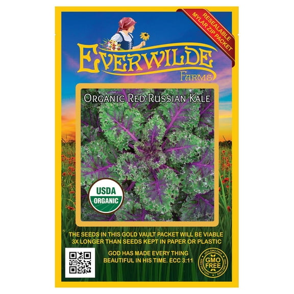 Everwilde Farms - 250 Organic Red Russian Kale Seeds - Gold Vault Jumbo Bulk Seed Packet