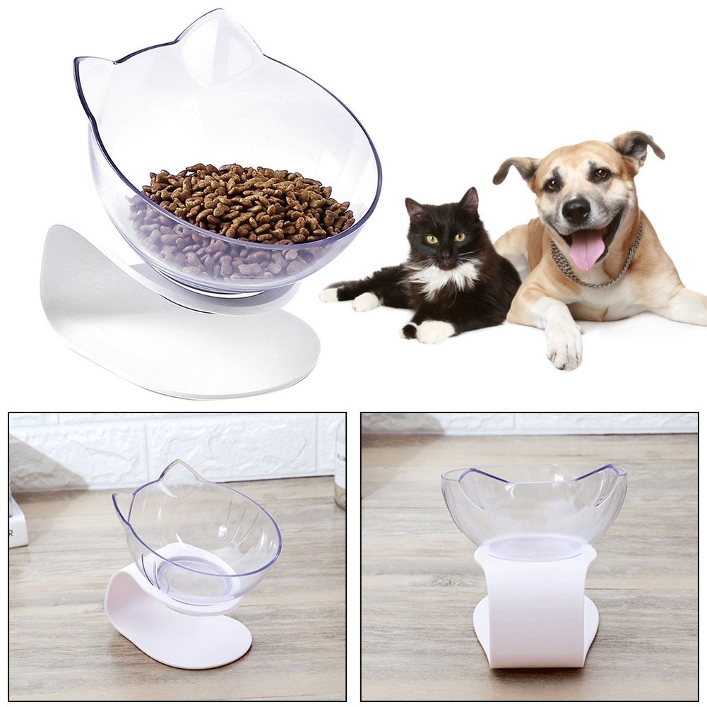 Can I Feed My Little Dog Cat Food